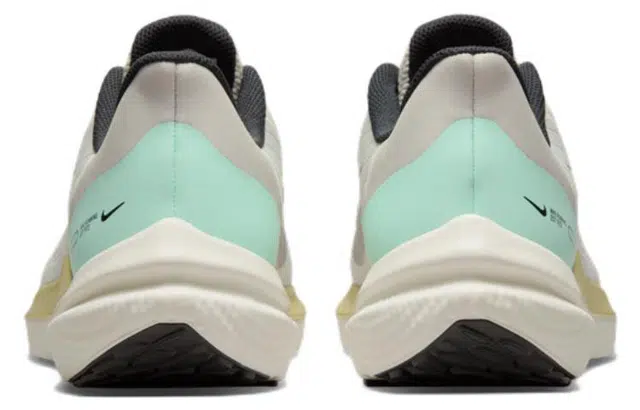 Nike Zoom Winflo 9