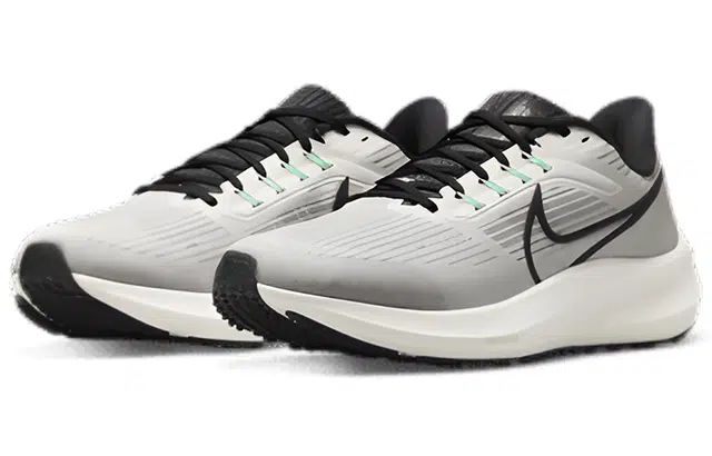 Nike Air Zoom Pegasus 39