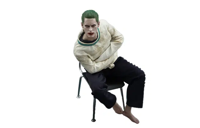 Hot Toys x 16 29.5cm