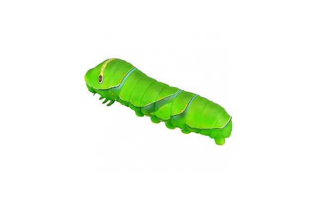 SOFUBI TOY BOX 007 23cm