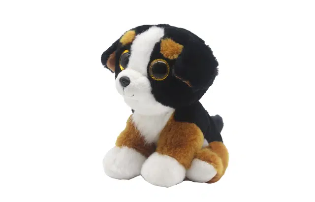 TY