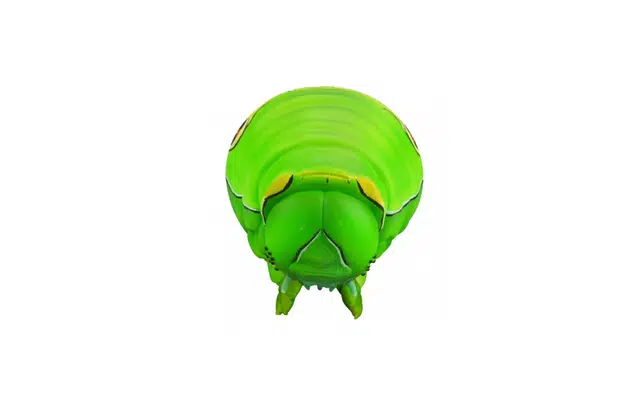 SOFUBI TOY BOX 007 23cm