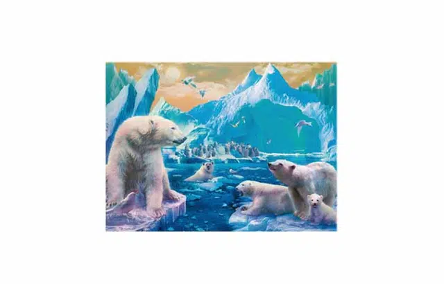 Ravensburger 300pcs 129478