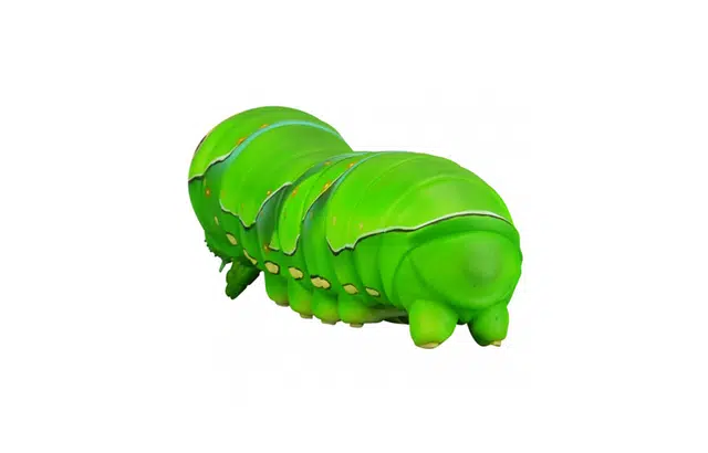 SOFUBI TOY BOX 007 23cm