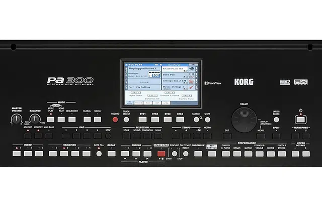 KORG PA300