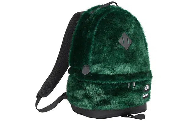 Supreme x The North Face FW20 Week16 Logo