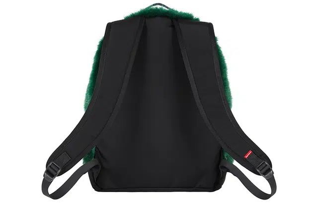 Supreme x The North Face FW20 Week16 Logo