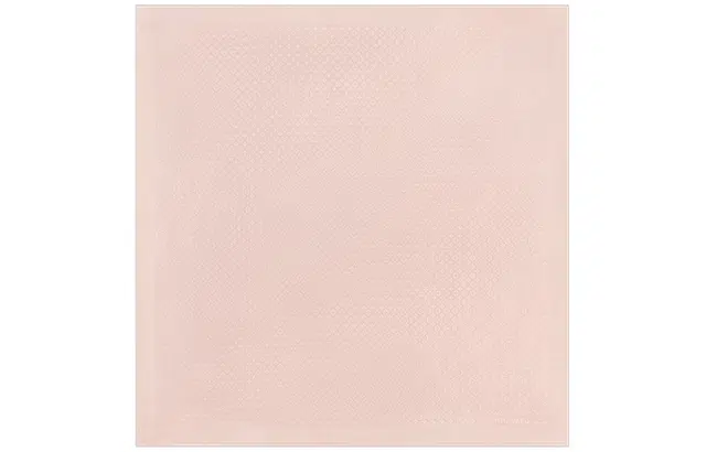 LOUIS VUITTON LV EVERMORE