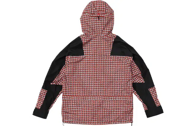 Supreme x THE NORTH FACE SS21