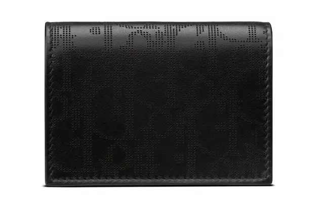 DIOR Oblique Galaxy