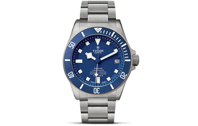TUDOR 42mm M25600TB-0001