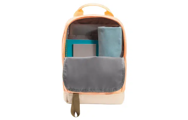 THE NORTH FACE TOTE BACKPACK