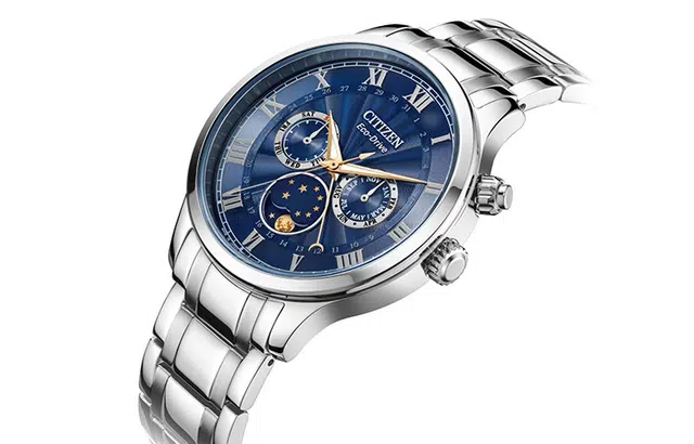 CITIZEN AP1050-81L