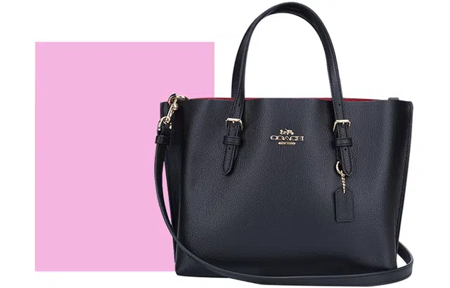 COACH Mollie 25 Tote