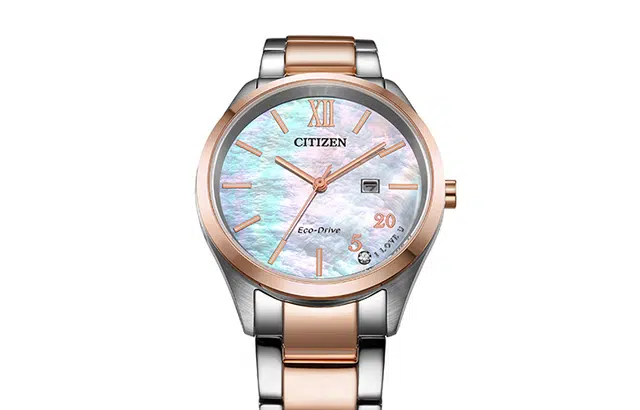 CITIZEN 41mm EW2456-88D