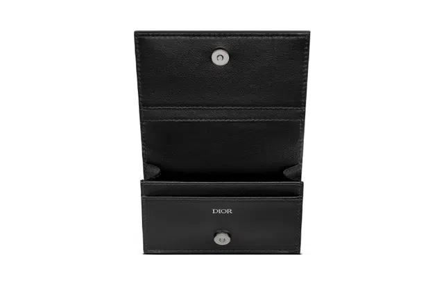 DIOR Oblique Galaxy