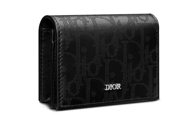 DIOR Oblique Galaxy