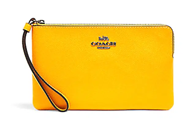 COACH Corner Zip 20