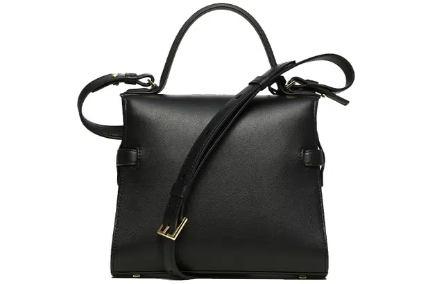 Delvaux Tempte
