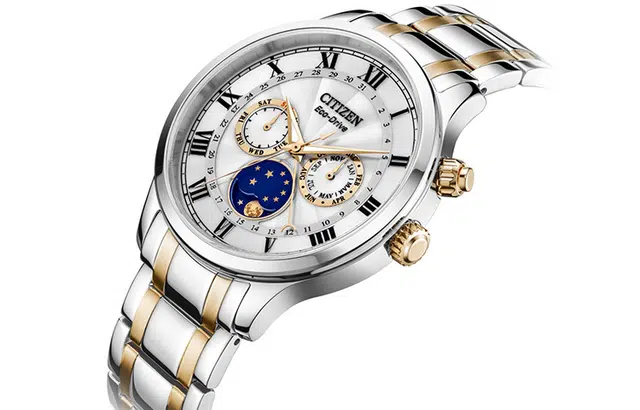 CITIZEN AP1054-80A