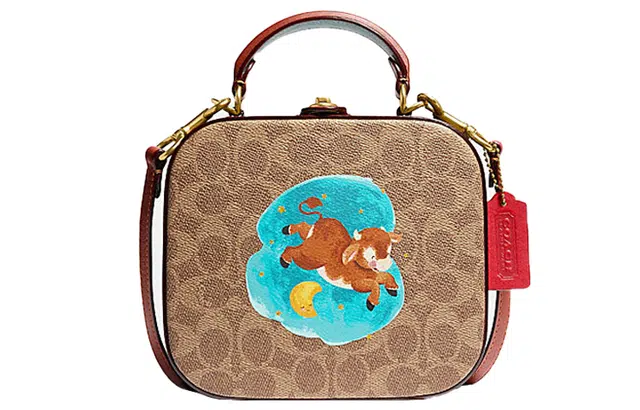 COACH Square 19