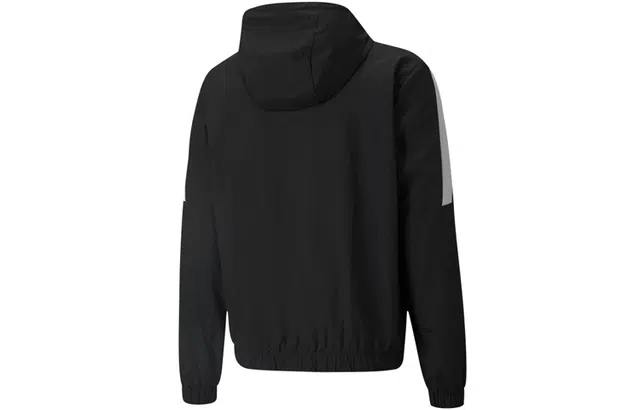 Puma Logo