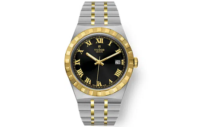 TUDOR 100 38mm 18ct M28503-0006