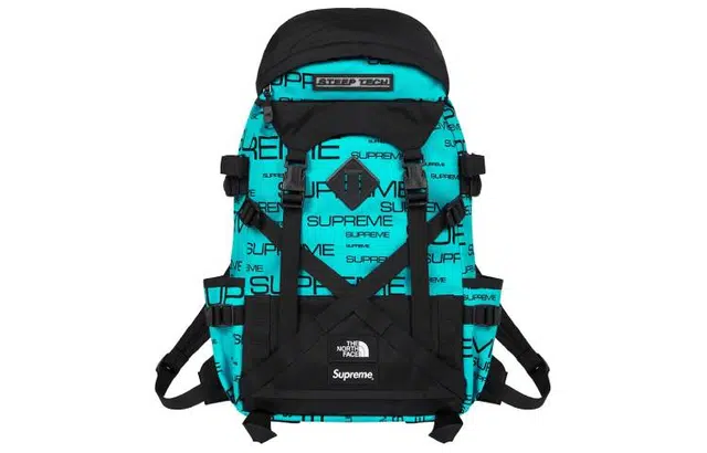 Supreme x The North Face Week 9Steep TechLogo