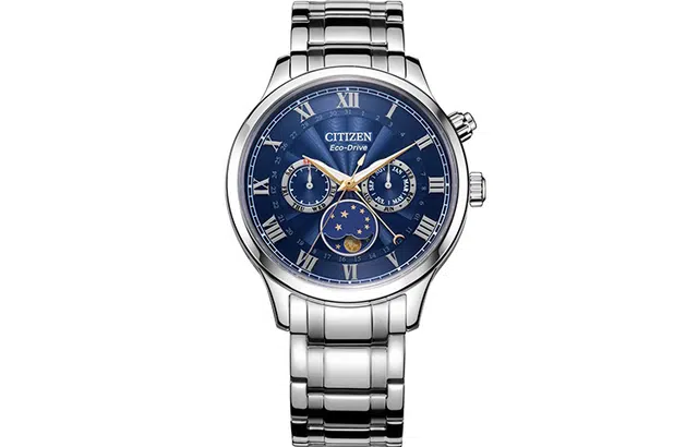 CITIZEN AP1050-81L