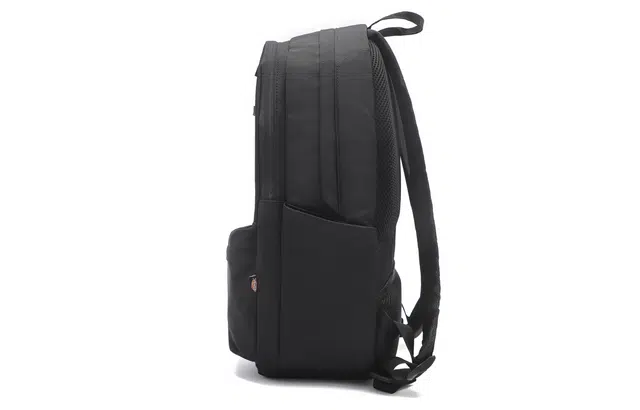 Dickies 100