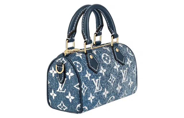 LOUIS VUITTON Speedy Nano
