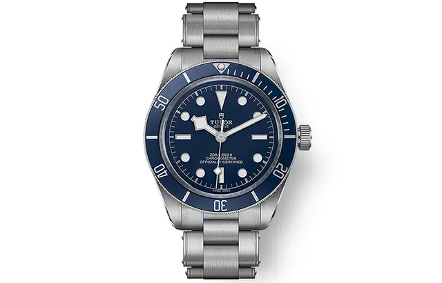 TUDOR 39mm M79030B-0001