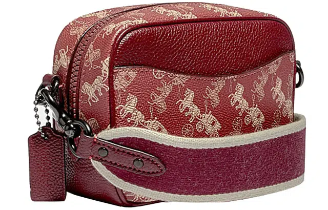 COACH Camera 16