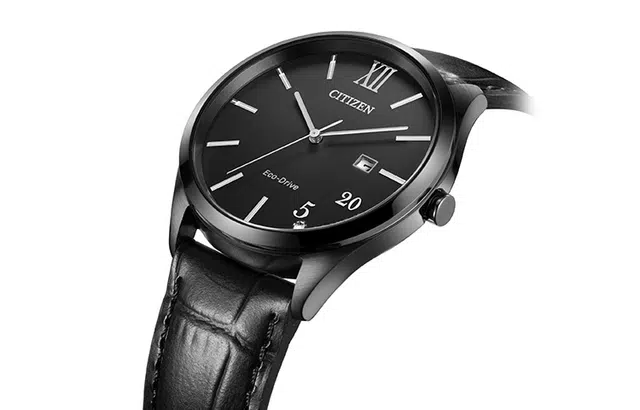 CITIZEN EW2457-18E