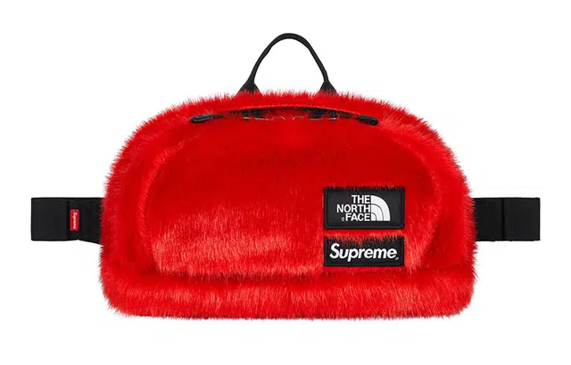 Supreme x The North Face FW20 Sling Bag