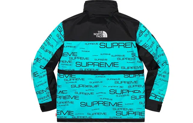 Supreme x the north face logo