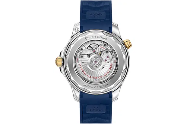 OMEGA 42mm 210.22.42.20.03.001