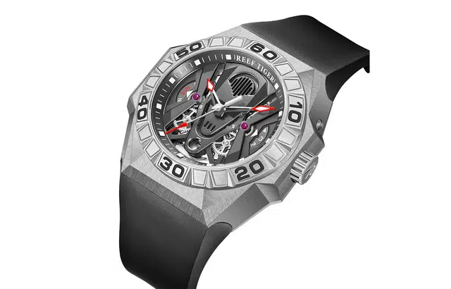 REEF TIGER RGA6922-YBR