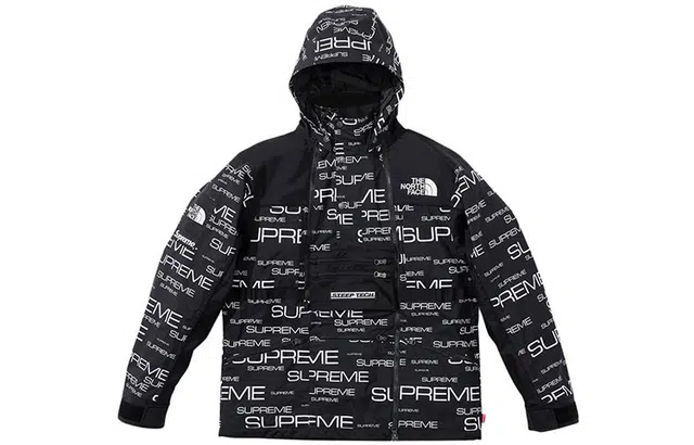 Supreme x the north face logo