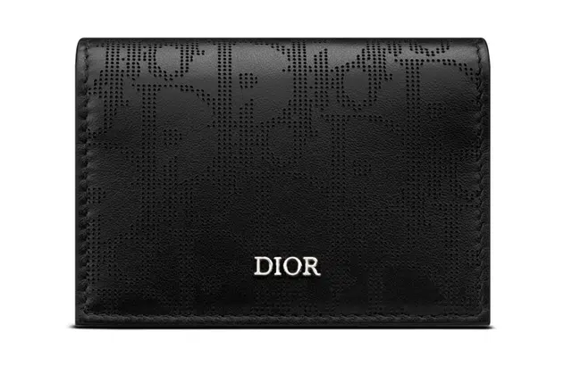 DIOR Oblique Galaxy