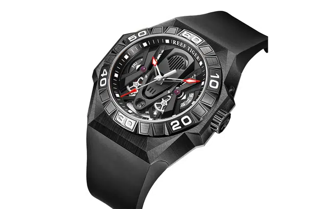 REEF TIGER RGA6922-BBR