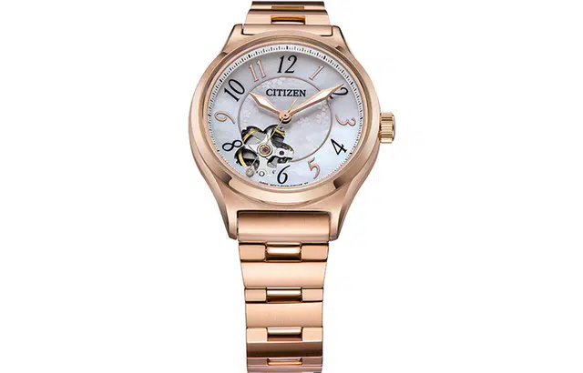 CITIZEN 34mm PC1007-65D