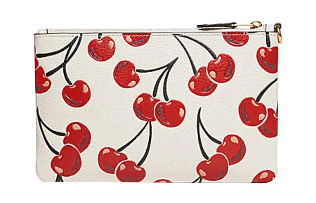 COACH Wristlet 19