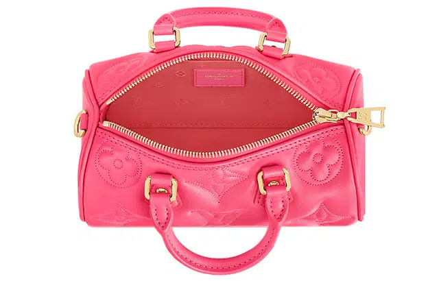 LOUIS VUITTON Papillon BB