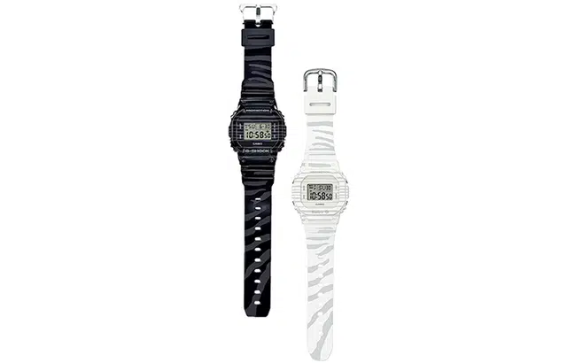 CASIO G-SHOCK BABY-G SLV-19B-1PFZB