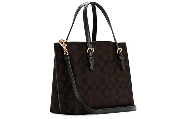 COACH Mollie 25 Tote