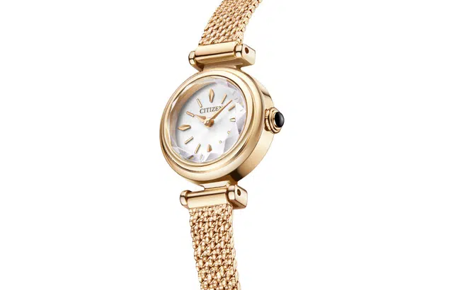 CITIZEN EG7082-66A