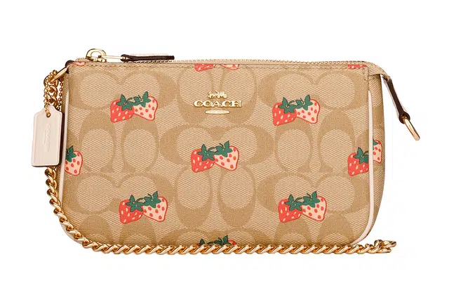 COACH Wristlet 19
