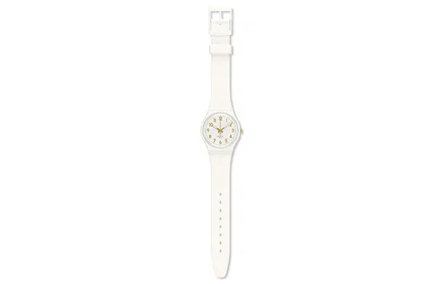 SWATCHORIGINALS 34mm GW164