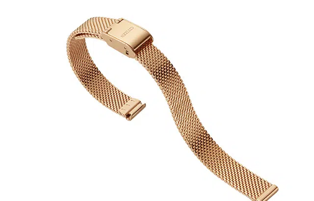 CITIZEN Juicy TintJT EQ3003-50X
